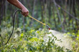 Farming in Pest Control and Prevention