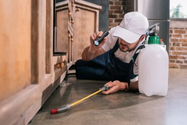 Pest Proof Your Home