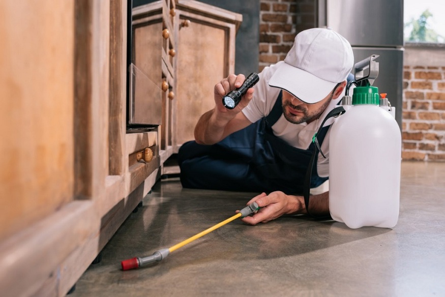 Pest Proof Your Home