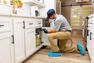 Spotlight on Local Pests