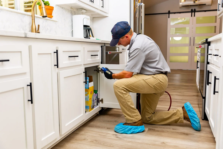 Spotlight on Local Pests