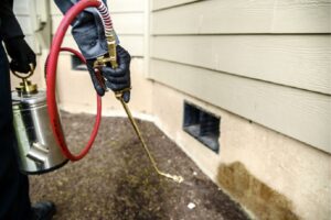 Pest Control in Reston