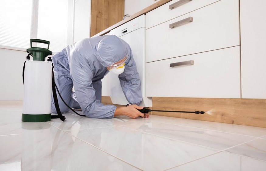 Trusted pest control services